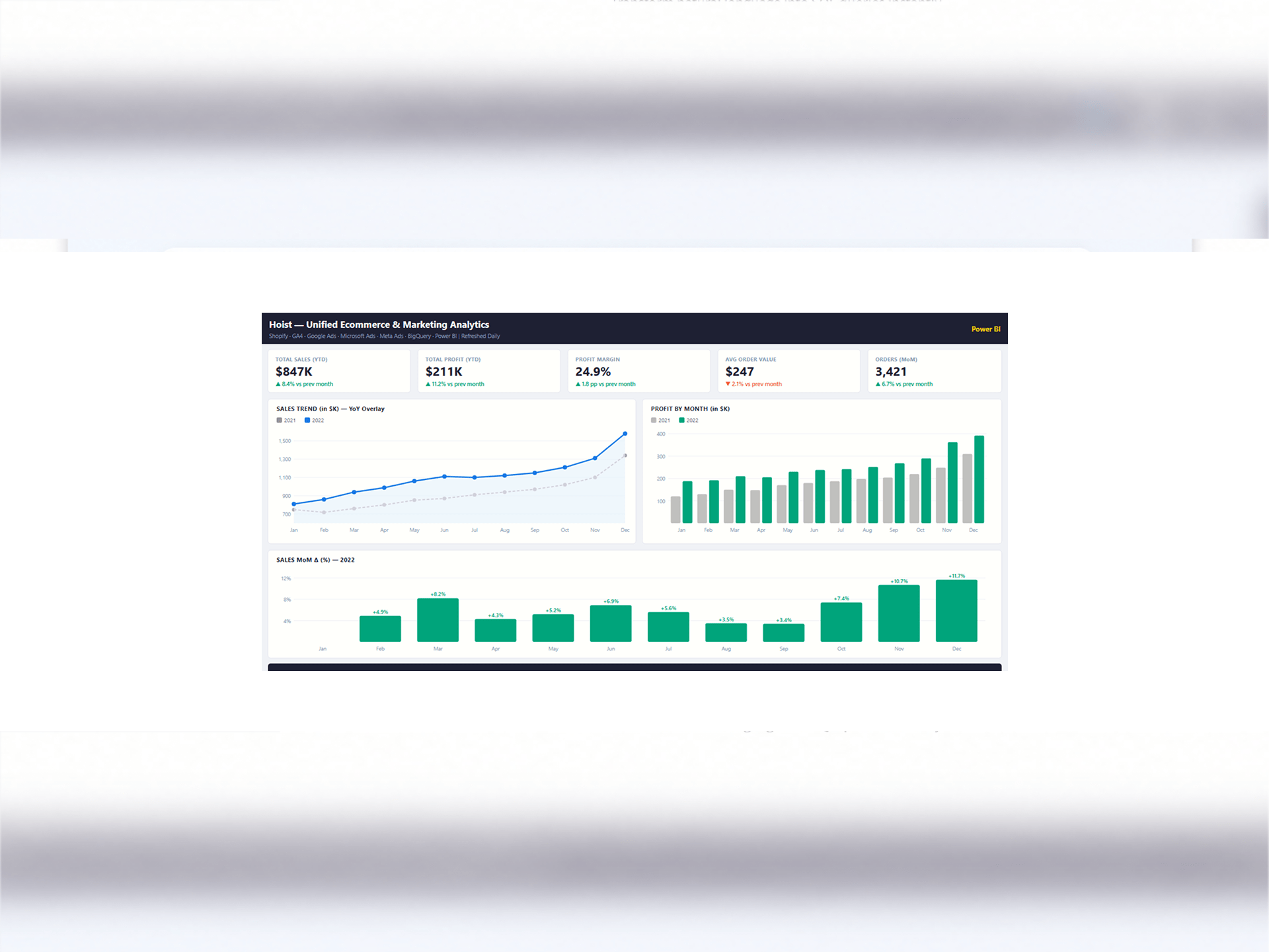 Hoist — Unified E-commerce & Marketing BI Dashboard