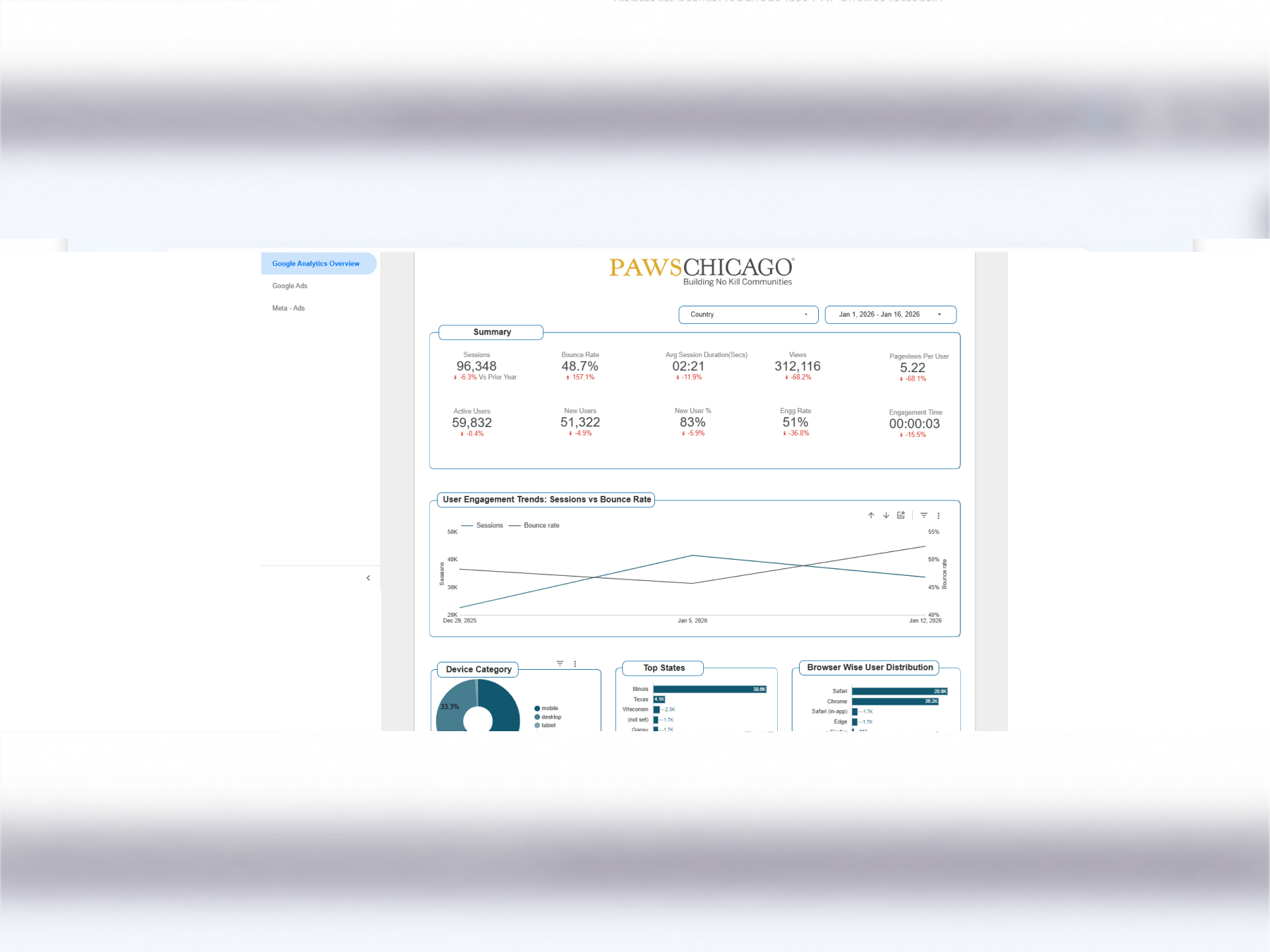 Paws Chicago — Comprehensive Digital Marketing Reporting