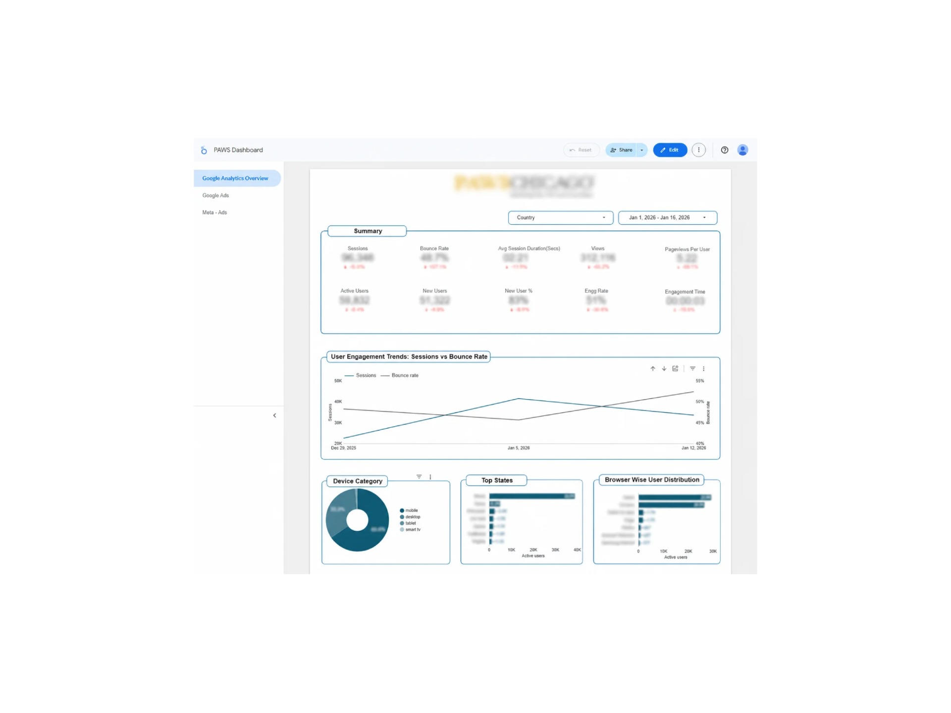 Paws Chicago — Comprehensive Digital Marketing Reporting